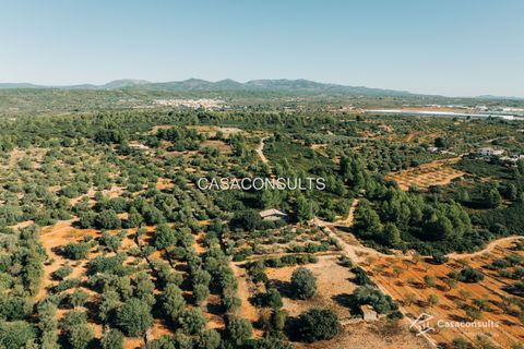 Landejendom i Vilafames, Castellon, Vilafames - € 110.000 | Ref: 818 - foto 25